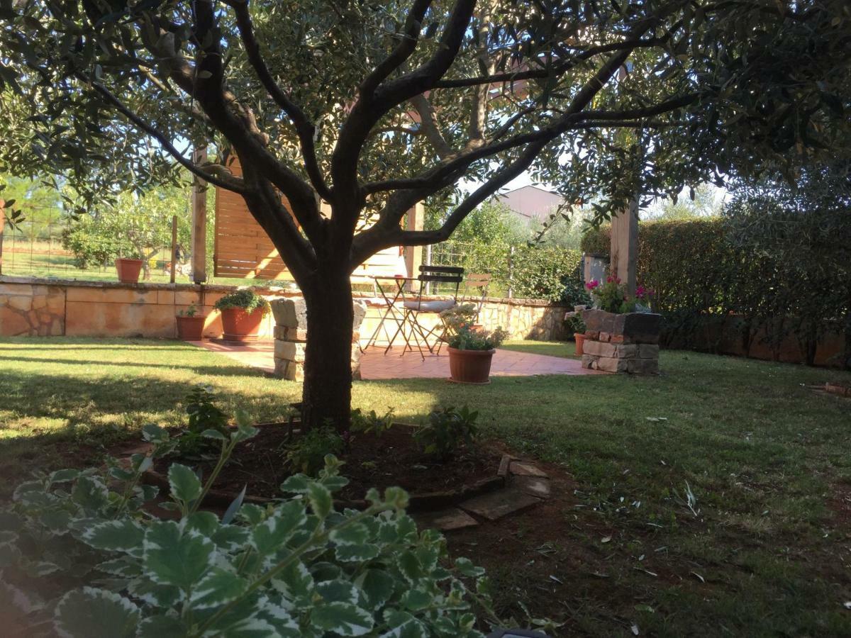 Apartment Villa Rossa Poreč Zewnętrze zdjęcie